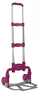 Trolley Purple Color