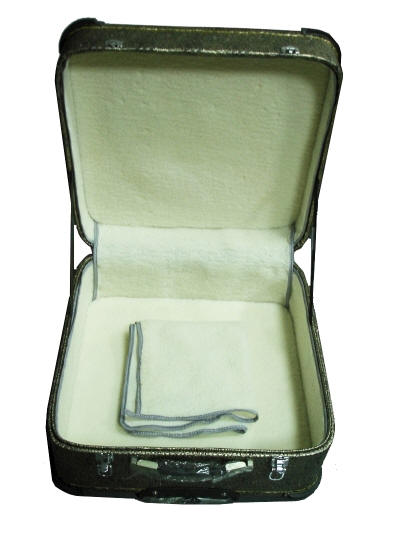 Accordion Hard case Open